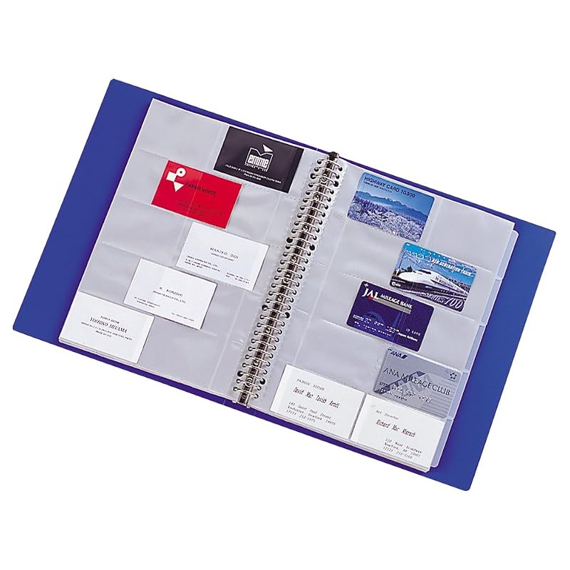 LIHIT LAB Business Card File, Replaceable, A4, 30 Holes, 800 Cards, Black G8803-24