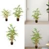 Artificial Bamboo Tree Fake Tree for Indoor Outdoor Living Room Desktop