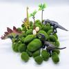 10pcs Green Crafting Fake Stone Simulation Plant DIY Garden Decoration Creative Crafts Artificial Moss Rocks