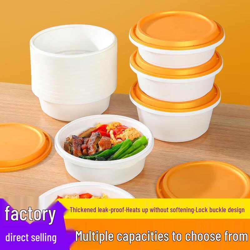 Disposable Rectangular Food Containers with Locking Lids