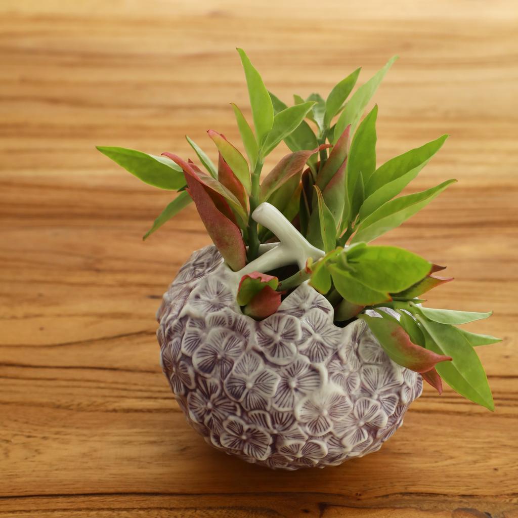 Vase en Céramique Hydrangée Sculpture en Relief Boule de Fleurs Accessoires d'Arrangement Floral Pot de Fleurs Accessoires de Décoration Intérieure