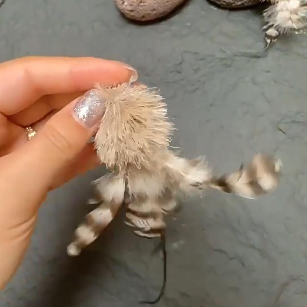 3pcs Feather Jellyfish Shap Cat Toy Accessories Pet Supplies Toy Cat Teaser Stick For Changing Heads