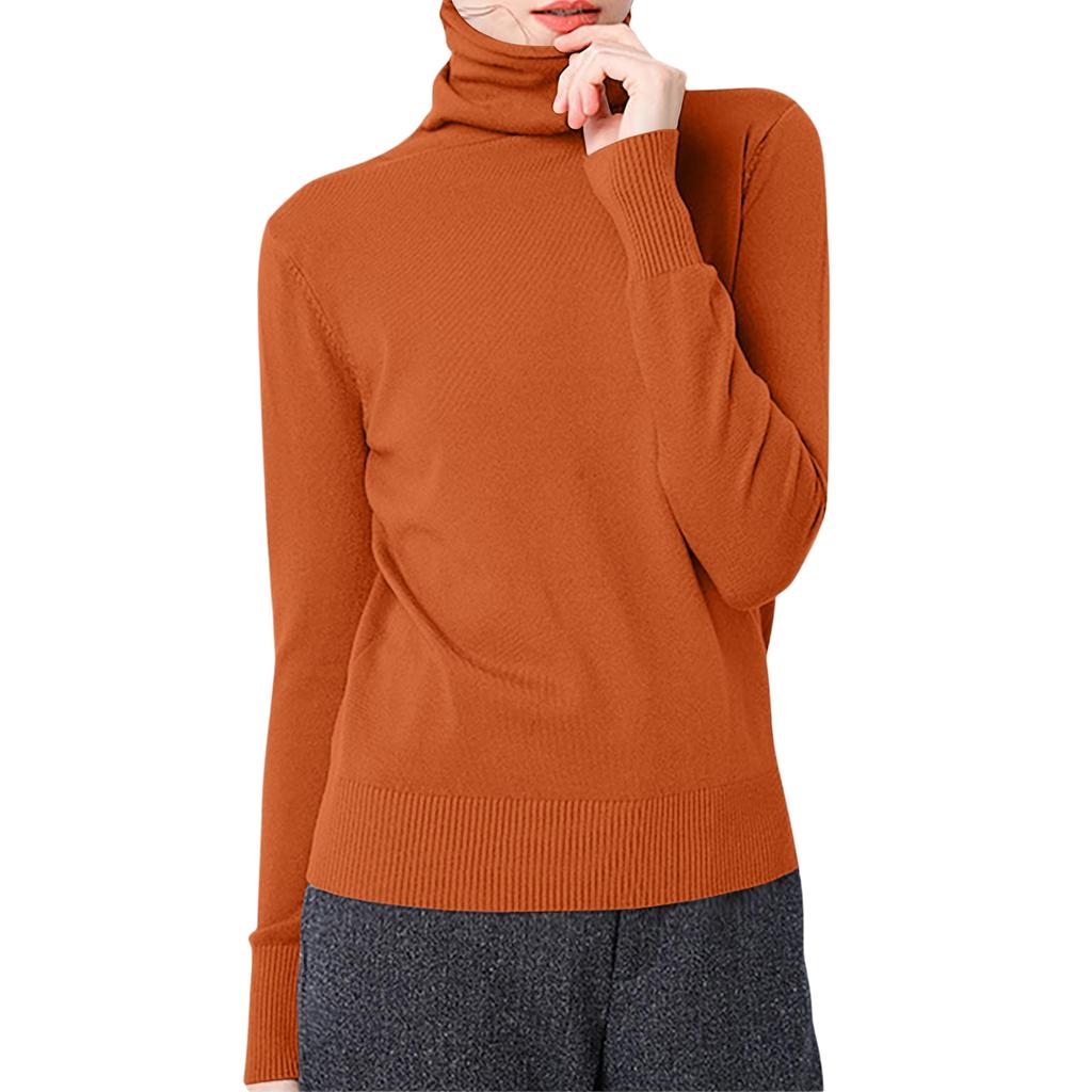 Women's Casual And Fashionable Knitted Pile Collar Solid Color Long Sleeved Top