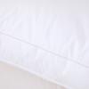 1 piece 100% cotton cover material microfiber filling 65x40x8cm bedding pillow