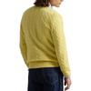 Polo Ralph Lauren Cable Knit Pullover Sweater Men sweater 710876762-030