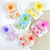 3Pcs/Set Gradient Hawaiian Flower Hair Clip Hibiscus Hair Clips New Hairpin  Summer Hair Accessories