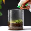 Glass Bottles Creativity Dew Collection Glass Vase Micro Landscape Succulent Moss Landscape Glass Terrarium Home Decor Bonsai