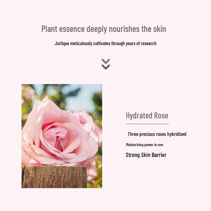 Jurlique Rare Rose Hydrating Cream 50ML