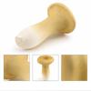 Vegetable Model Fungus Figurines Matsutake Oyste Artificial Simulation Mushroom Teaching Pleurotus Fungus Model Home Decoration
