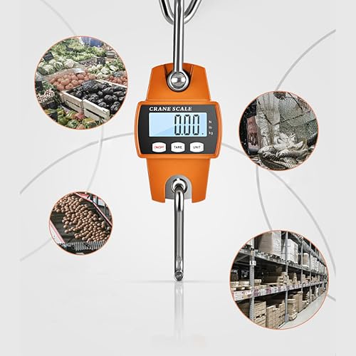HFS(R) Portable 300kg Hanging Scale, Digital Crane Scale, for Commercial and Industrial Use