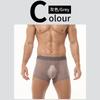 Full Mesh Transprent Underwear Men Sexy Ultra Sheer Boxer Trunks Seamless Underpants Bulge Pouch Panties Male Gay Smooth Knicker