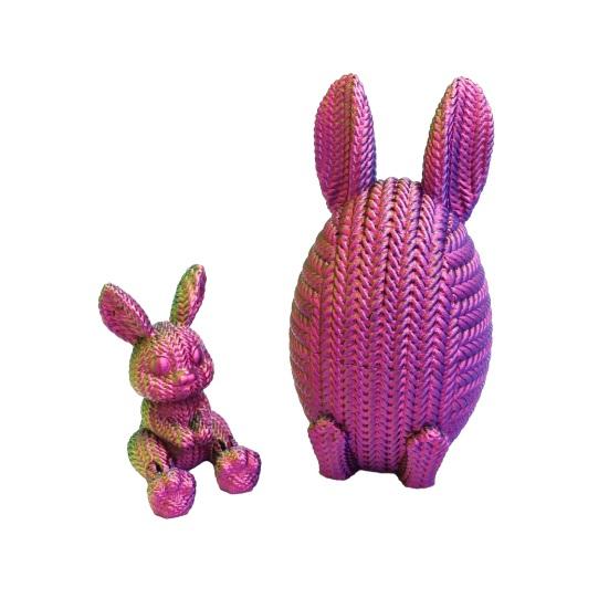 2 Pcs 3D Printed Easter Egg with Bunny Inside Prefilled Easter Bunny