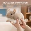 Lifelike Chinchilla Plush Toys Cozy Simulation Rat Doll Totoro Plush Doll  Children Companion
