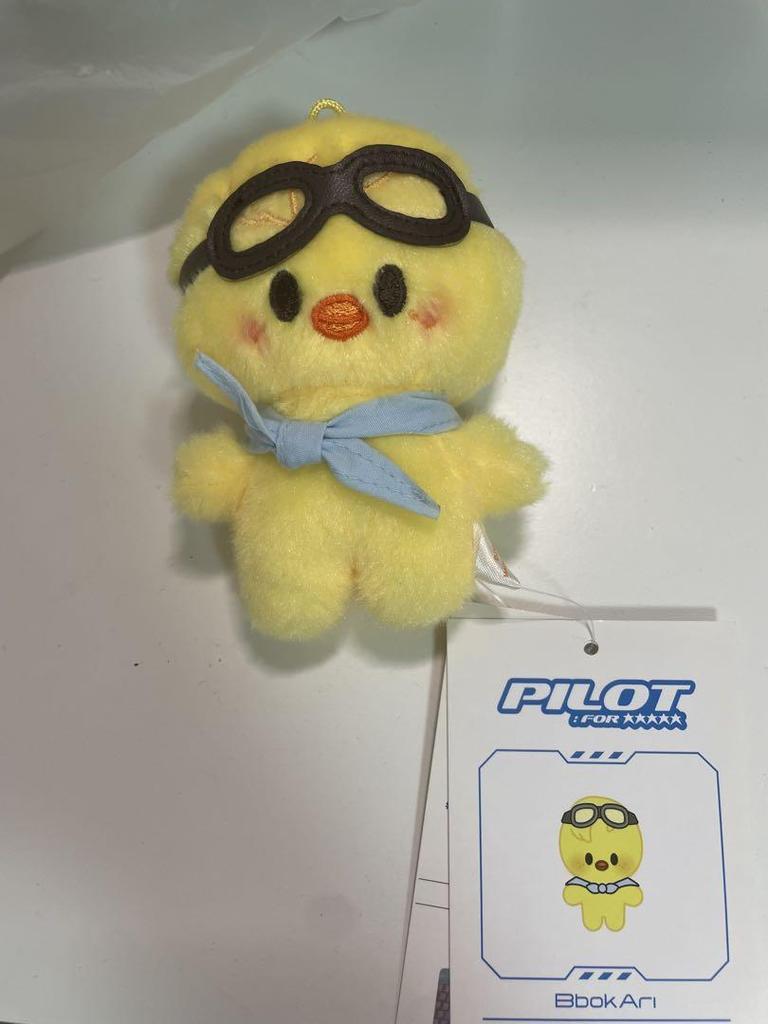 [USED] straykids pilot stuffed toy BbokAri Pogari Felix