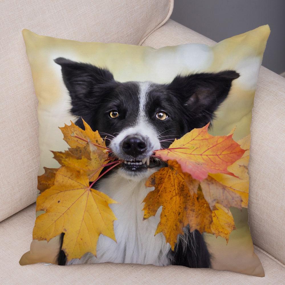 

Мила Подушка з Принтом Домашньої Тварини Собаки Шотландський Бордер Коллі Наволочка Декор для Дивана Автомобіля 45x45cm