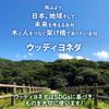 Wood Japanese Made in Japan x 40mm x No Set of Wood, Timber, Blocks, Carving, Carving, Hinoki, Cypress, [40mm 100mm, Knots, 4]