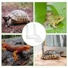 Hängende Schildkröten Dock Verstellbares Schildkröten Kletterregal Schildkröten Sonnenplattform