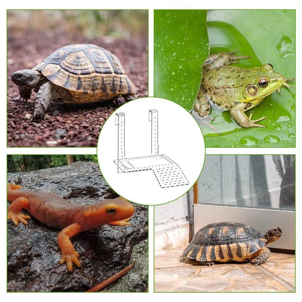 Hängende Schildkröten Dock Verstellbares Schildkröten Kletterregal Schildkröten Sonnenplattform