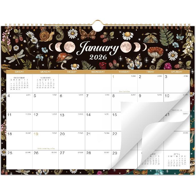 2026-2027 Wall Calendar - 18 Months Wall Calendar from Jan. 2026 - Jun. 2027, 14.7  x 11.5 , Premium Thick Paper, Haning Loop for Home & Office 2026-2027 Wall Calendar