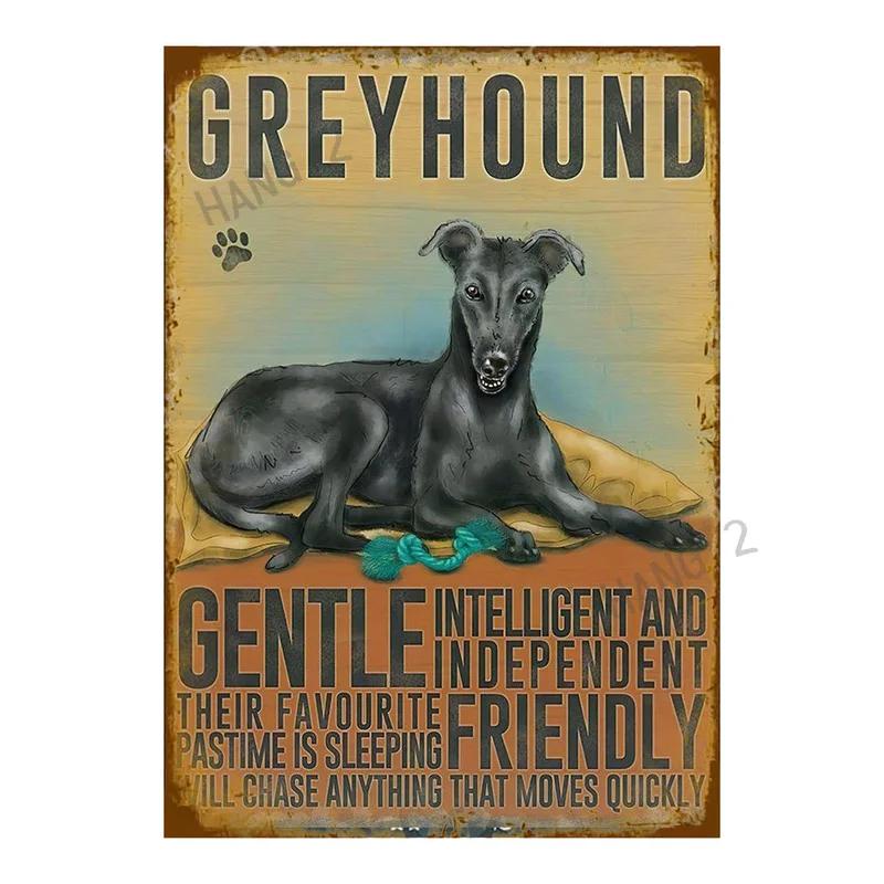 Schilder Blech Metall Poster Du hast gelächelt und ich habe mich verliebt Greyhound Hängeschilder für Zuhause Dekorative Plakette 8X12 oder 12x16 Zoll