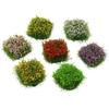 Miniature Grass Tufts for Sand Table Models - Wild Scenery Vegetation & Flower Clusters