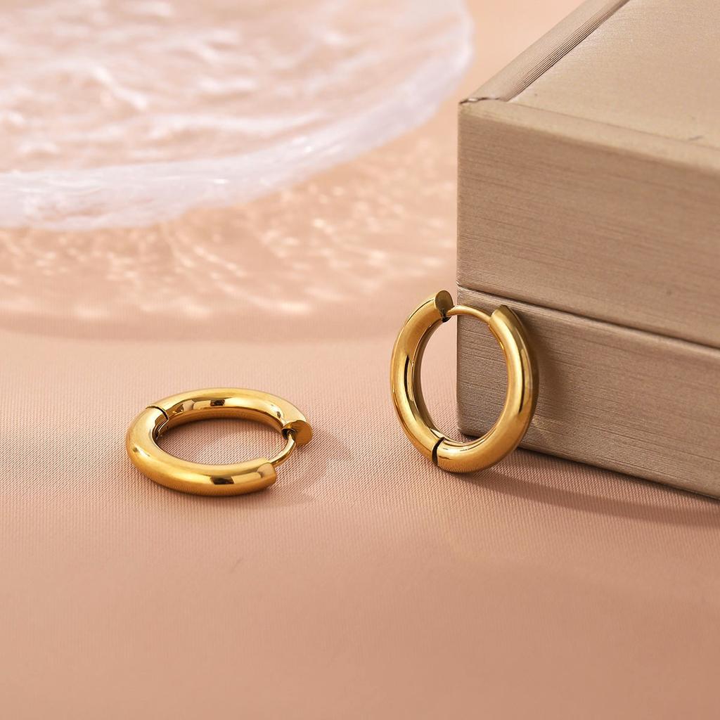 316L Stainless Steel Earrings For Women  Vintage Hip Hop Hoop Trend Colorfast Earrings High Quality Girl