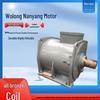 Wolong Nanyang Low-Voltage PM Direct-Drive VFD Three-Phase Synchronous Motor