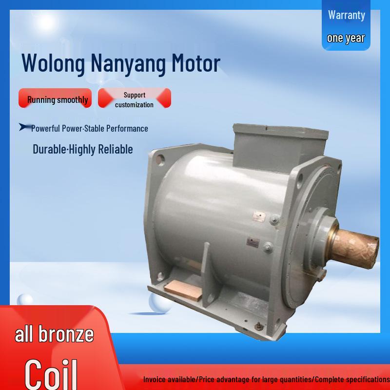 Wolong Nanyang Low-Voltage PM Direct-Drive VFD Three-Phase Synchronous Motor