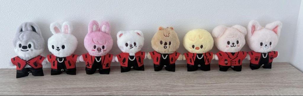 [USED] SKZOO Seungmin Puppy M Clothes Plush Toys Stray Kids