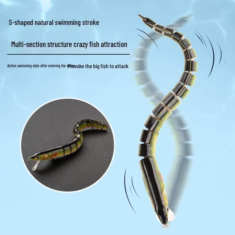 Aspius Long-Cast Marine Fishing Simulation Bait - Large, Slow-Sinking, Fake Lure for Sea Fishing