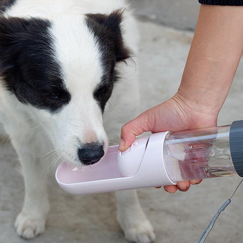 large dog water bottle
