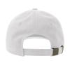 Atlantis Headwear Destroyed-S Dad Hat