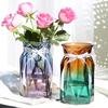 Modern European Glass Vase for Fresh or Dried Flowers - Hydroponic Desktop Ornament