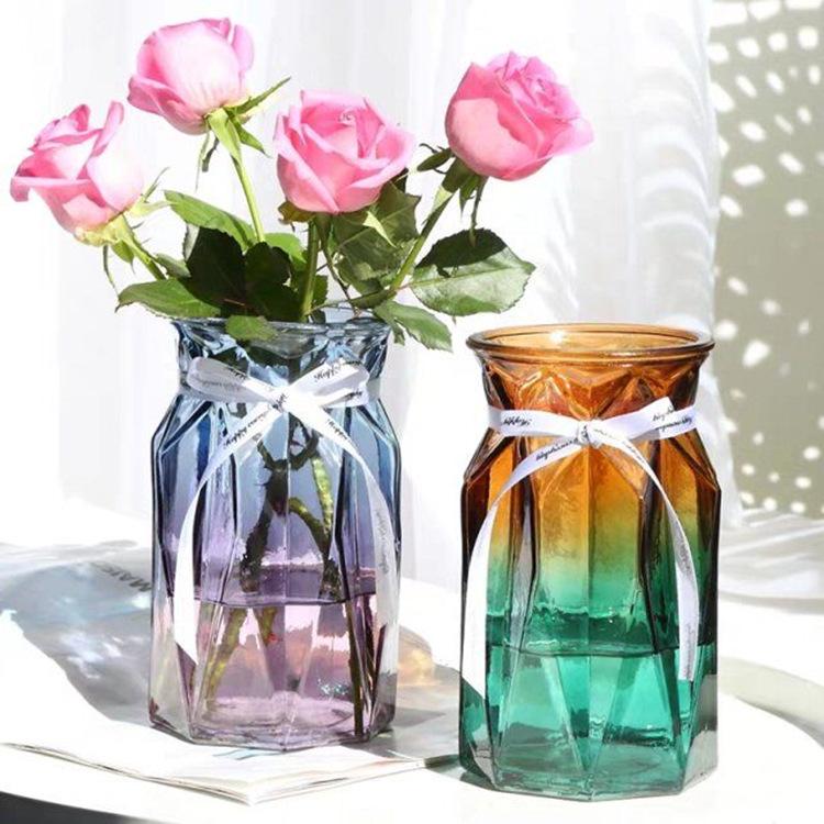Modern European Glass Vase for Fresh or Dried Flowers - Hydroponic Desktop Ornament