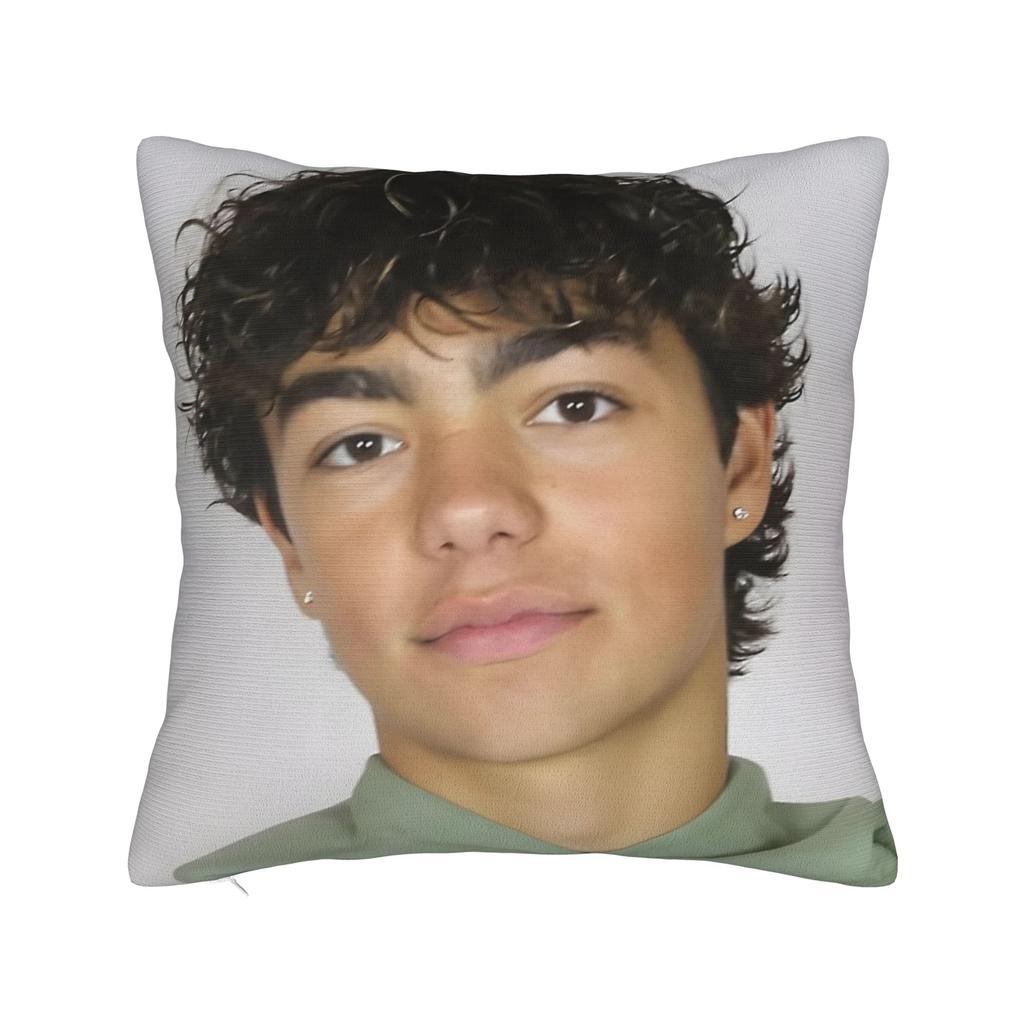Malachi Barton Pillow Covers Stuff Soft Cushion Cover Gift Throw Pillow Case Cover Home Multiple Sizes