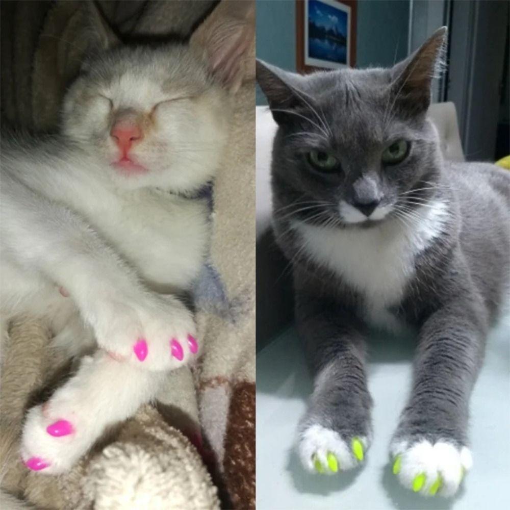 Colorful Cats Soft Nail Covers Anti-scratch Pet Nail Cover Fashion Cat Grooming Supplies