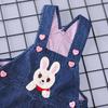 Children's Cartoon Five Bears & Rabbits Denim Overalls for Spring/Autumn