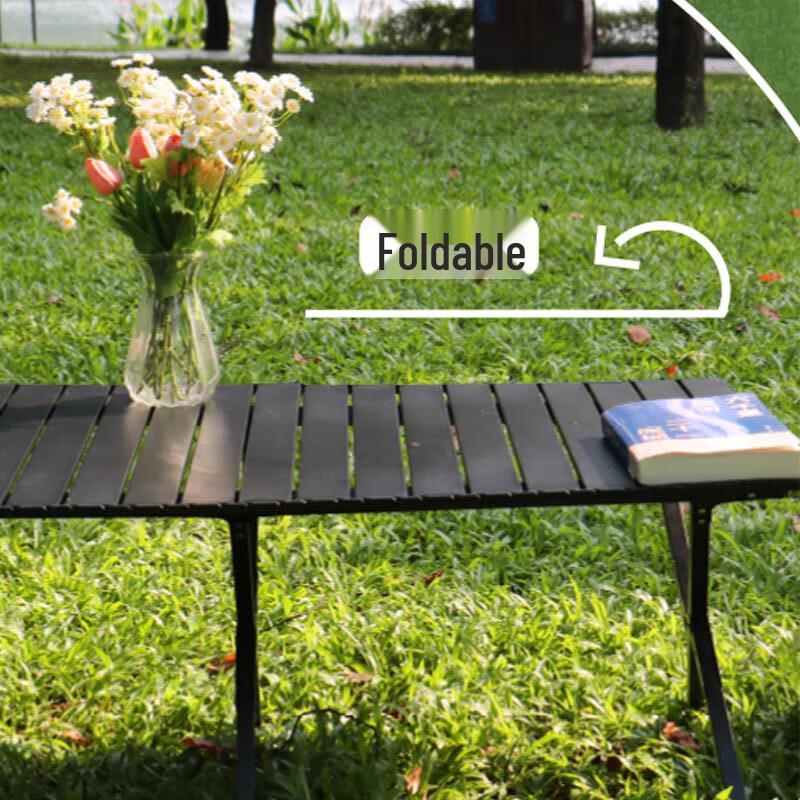 DASPAN Roll-Up Camping Table