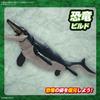 Bandai Spirits  Bandai Spirits  Planosaurus Mosasaurus Color Coded Plastic Model 2639638