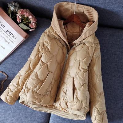 Winter Jacket Women Parkas Hooded Thick Down Cotton Padded Parka Female Jacket Short Coat Slim Warm Outwear