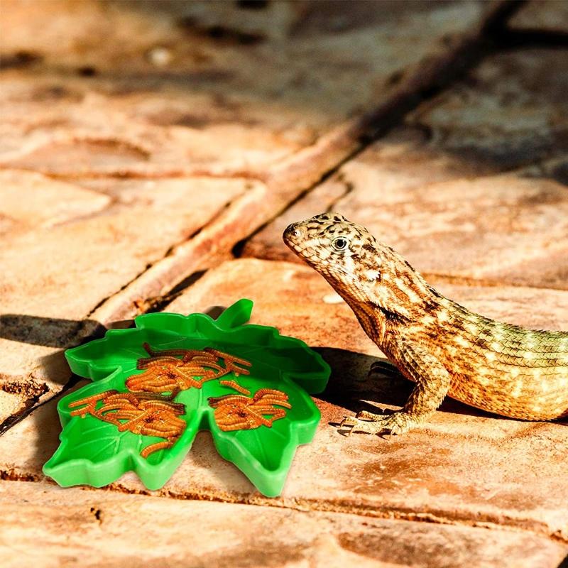 Reptile Water Food Bowl Plastic Pet Bowls Small Reptile Mealworms Dish for Lizard Bearded Dragon Spider Cricket Tortoise