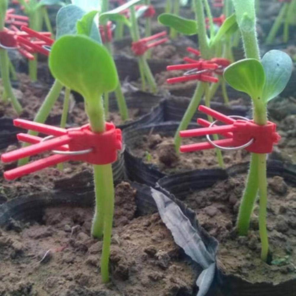 50pcs New Gardening Tool Plant Grafting Clip Plastic Anti-fallClamps Garden Graft Clip Flat Mouth Durable Planting Supplies