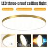 Modern LED Ceiling Light Lamp Simple Golden Round For Bedroom Corridor Garage Cloakroom Aisle Balcony Study Lighting Fixtures