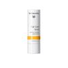 Dr. Hauschka Lip Care Stick 4.9g 1 Pack Lip Care Stick 4.9g/0.16oz