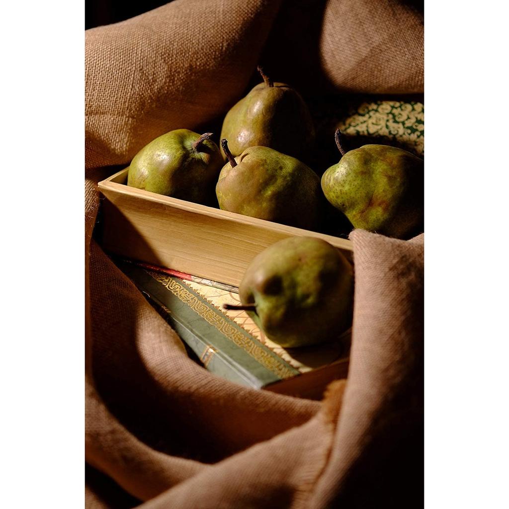 FUJIFILM FUJINON XF60mm F2.4 R Macro Lens - Mid-Telephoto Prime Lens for Sharp Close-Ups