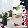 Plastic Flower Pot for Flowers and Herbs on the Balcony or Terrace, Anthracite, 29cm