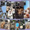 Kat Vakantie Telefoonhoesje Voor Iphone 17 Air 15 Pro 14 Plus 16 Pro Max 17E 16E 12 13 Mini 11 Cover Schattige Fundas