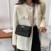 Casual Trendy and Fashionable Small Bag for Women In Summer Niche Design Small Square Bag New Fashionable and Beautiful Crossbody Bag