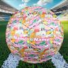 Custom Name Personalized Peppa Pig Print Size 5 Soccer Ball Training & Match Football, for Team, Kicking, Gift for Football Enthusiasts