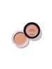 The SAEM Cover Perfection Pot Concealer